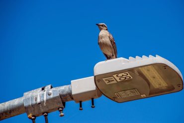 裝修指南：輕鬆打造理想居家空間