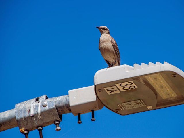 圍巾：冬季不可缺少的時尚配件