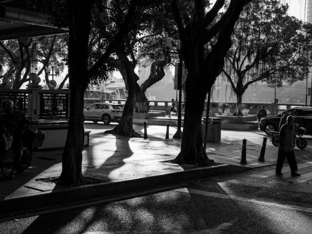 加拿大 OWP：抓住工作機會，開創職涯新局