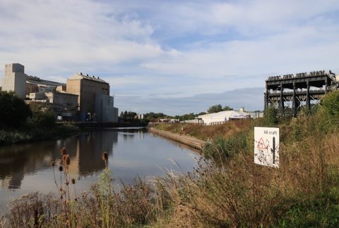 食品廠經營秘訣：提升效率與品質的實用指南