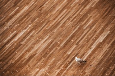 證婚場地選擇指南：貼心實用教學