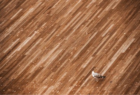 香港地板市場現狀與選擇分析