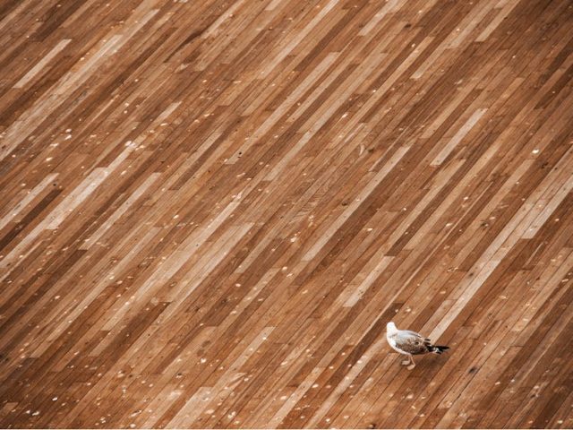 香港地板市場現狀與選擇分析
