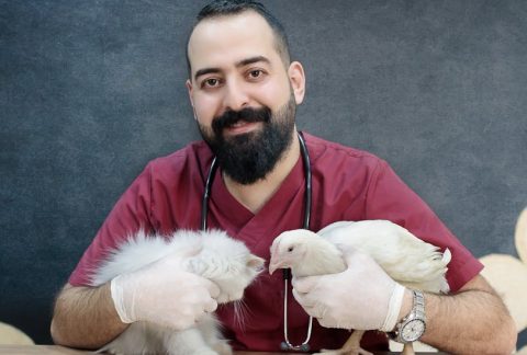 珍禽異獸醫院 — 專業護理與保育的前線報導