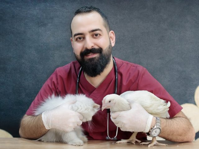 珍禽異獸醫院 — 專業護理與保育的前線報導